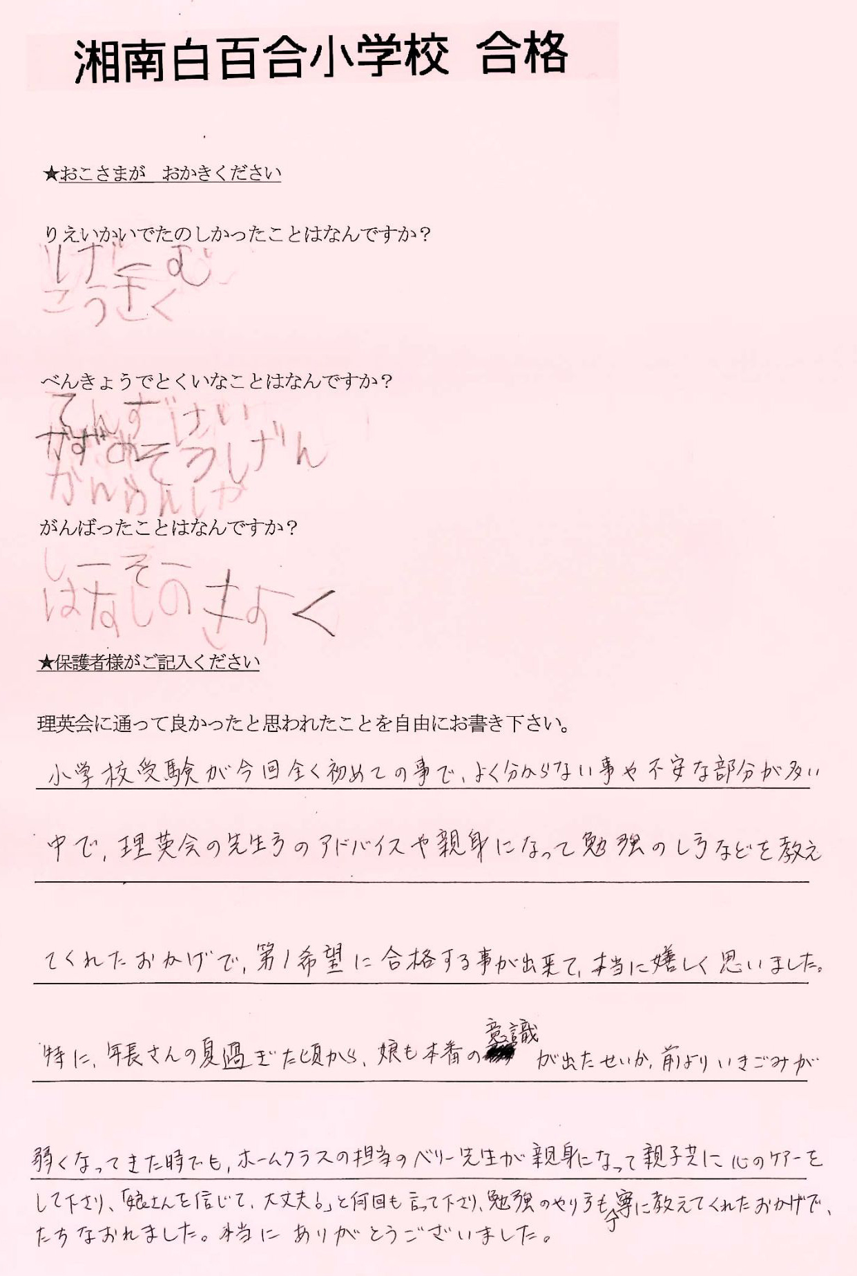 湘南白百合2