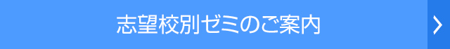志望校別ゼミご案内