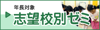 志望校別ゼミ