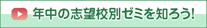 年中の志望校別ゼミを知ろう