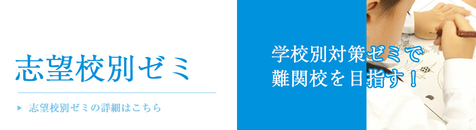 志望校別ゼミ