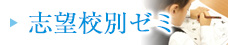 志望校別ゼミ